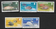 ASCENSION SG349/53 1983 SHELLS MNH