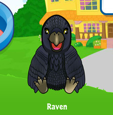 Webkinz Raven Virtual Adoption Code Only Messaged Webkinz Black Raven Pet Bird