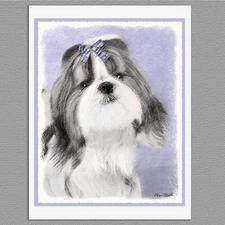 6 Shih Tzu Dog Blank Art Note Greeting Cards