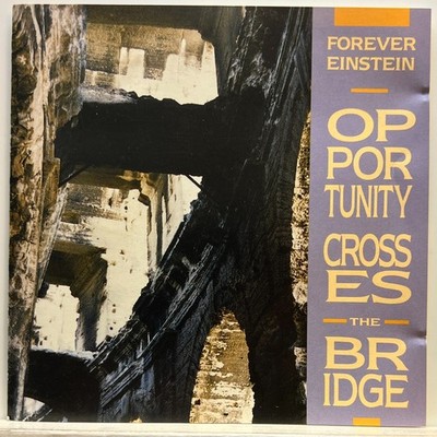 Forever Einstein: Opportunity Crosses The Bridge (CD 1992 Cuneiform) *Rare* *VG*