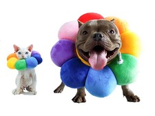 CCYPET Adjustable Pet Recovery Collar Soft Edge Protective Cone for Cats & Small