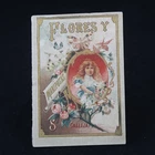 Saturnino Calleja Flores y Mariposas Antique Illustrated 1920s Book