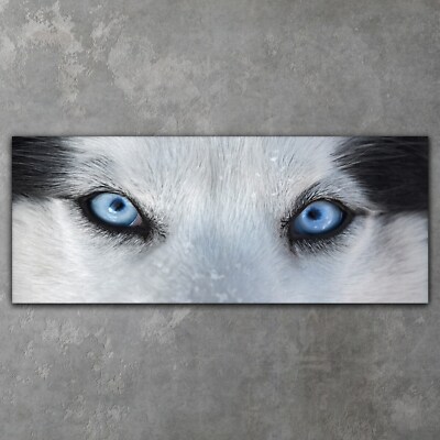Leinwand Bild Canvas Wandbild XXL Wohnzimmer Blaue Husky Augen 125x50