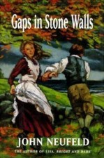 Gaps in Stone Walls by Neufeld, John