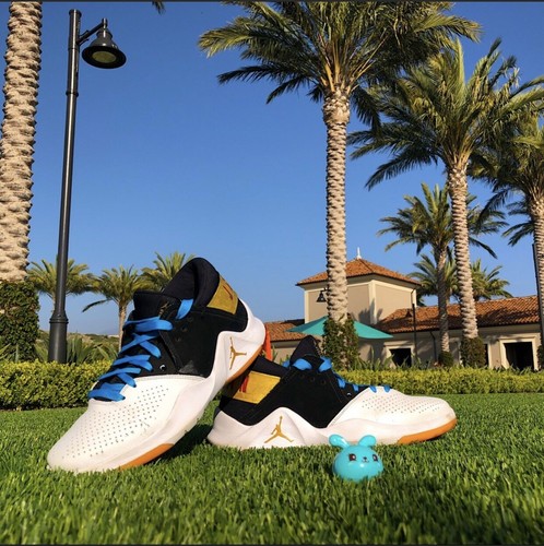 CUSTOMIZED Nike Air Jordan Flight Fresh 