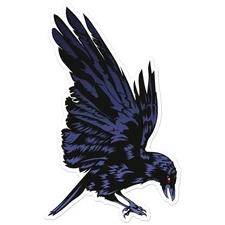 Crow Raven - Vinyl Decal Sticker - Car Window Laptop - ebn7663