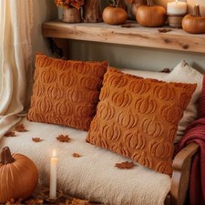 Fall Pumpkin Throw Pillow Covers 18x18 inch 18" x 18" Pack of 2 Rust Pumpkin2