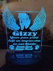 Foto 4 di 4