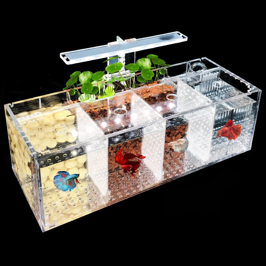 Aquarium LED Acrylic Betta Fish Tank Set Mini Desktop Light Water Pump Filter AU - image 2 of 4