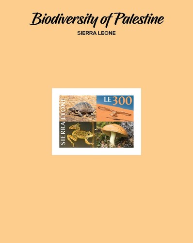 SIERRA LEONE 2025 PALESTINE FULL PACK MS1V MS8V SS1V & IMPERF & FDC CARD BKLT - Picture 7 of 14