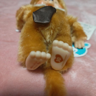 Bild 4 von 4