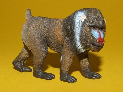 23) Schleich Schleichtier Wildtier Affe Monkey Mandrill Männchen 14715 top