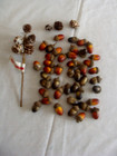 44 Acorns With Caps For Crafts PLUS A Pick/Sprig of Pine Cones — photo 1