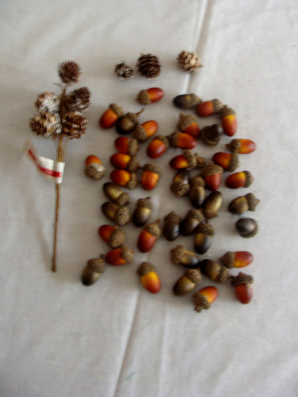 44 Acorns With Caps For Crafts PLUS A Pick/Sprig of Pine Cones