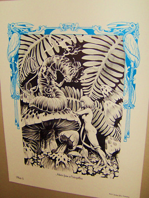 FRANK BRUNNER Portfolio ALICE IN WONDERLAND Plate 3 1977 Original Print COOL