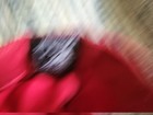 Bild 6 von 7