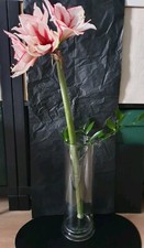 Bodenvase Blumenvase Messzylinder Amaryllis Dekoglas alt vintage Chemiker Labor