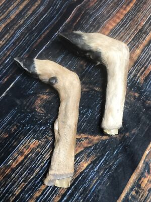 2 Bent Deer feet cured knife handle Gun Rack Witch craft Animal Mount antler Art