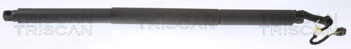 HeckklappendäMpfer, KofferraumdäMpfer Triscan 8710 29307 Skoda 3V9 827 851 A-image