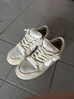 Nike SB Dunk Low Pro