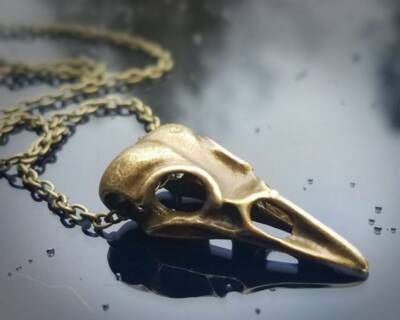 Raven Skull Necklace, Brass Color Bird Skull Pendant, Gothic
