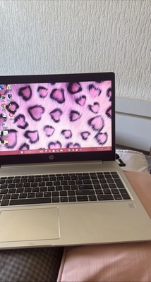 HP Probook  450 G7,grau,corei7-10510U,16GB RAM,512GB SDD,1TB HDD,GeForce MX250