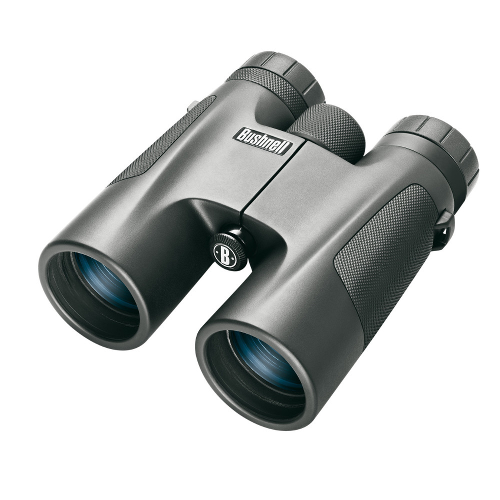 Jumelles Bushnell Powerview V1 10x42 avec prisme en toit compact