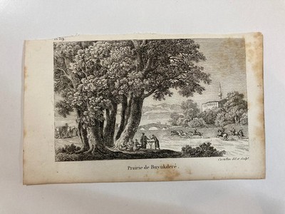 Old Engraving 1820 Prairie de Buyukdere Istanbul ''Lettres sur la Moree Const/le''