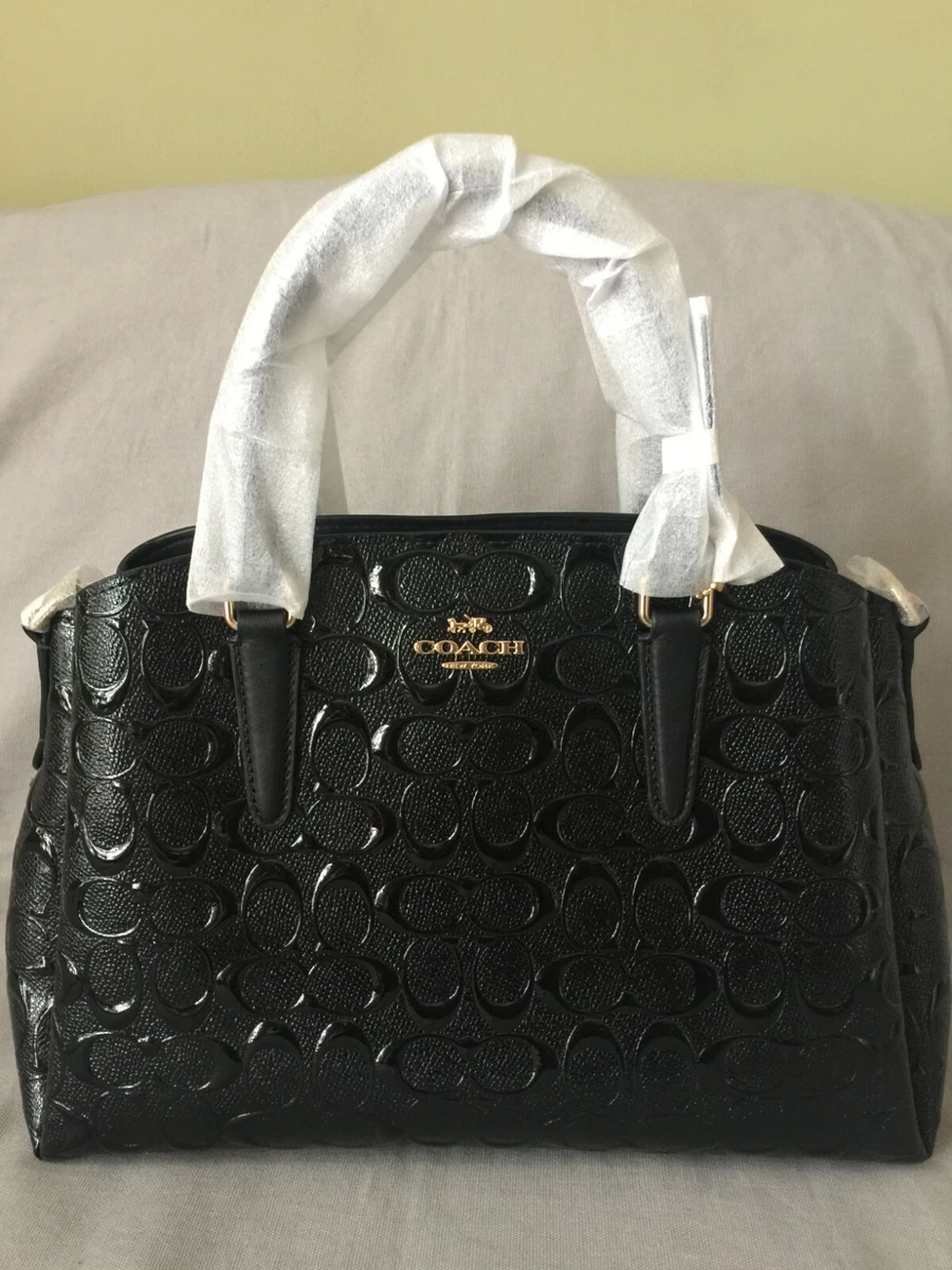 Coach sage best sale satchel