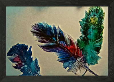 Federn einer Art Gerahmtes Wandbild Poster Leinwanddruck Bild