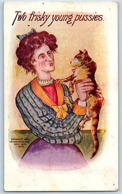 1908 Risque Woman With Cat Two Frisky Young Pussies Mountain Side NJ Postcard