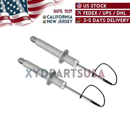 Maserati GranTurismo 2013-2018 Rear Right Dampers 2 pcs P/N 286946 Photo - $260