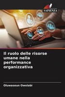 Oluwaseun Owolabi | Il Ruolo Delle Risorse Umane Nella Performance Organizzativa