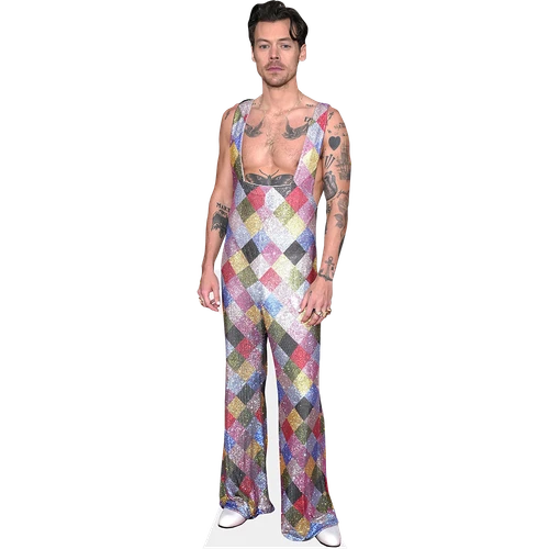 Harry E. Styles (Colourful) Life Size Cutout