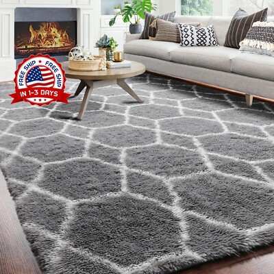 Alfombra Decorativa De Sala Grandes Modernas 7''x10'' Para Casa Habitacion NEW US