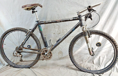 1997 Gary Fisher Big Sur MTB Bike 19" Large Hardtail Rock Shox Judy USA Shipper! - 第 1/19 張圖片