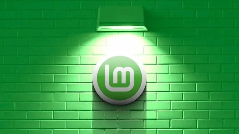 Linux Como Nuevo 21.1 LTS 2023 "3" SET DVD Canela, MATE, XFCE, Impreso Láser EE. UU. AAA Foto 2 de 4