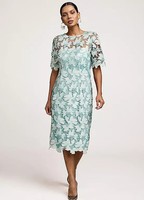 Kaleidoscope Duck Egg Lace Dress - Size 12 - BNWT - RRP £110