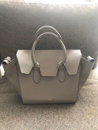 Celine Luggage Micro Handbag Greige Leather