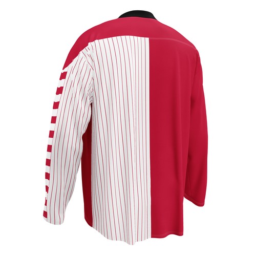 Denmark Hockey Jersey, Unisex Adult, Moisture Wicking, Eco Friendly, Fan Shirt - Picture 8 of 28