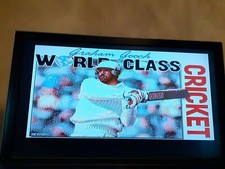 Amiga Game Spiel Graham Gooch World Class CRICKET getestet & funktioniert !1MB!
