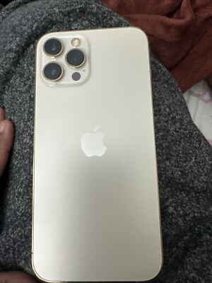 Iphone 12 Pro Max With TikTok 