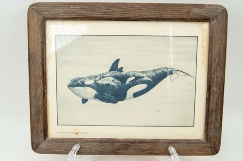 Ron Stark Orca Killer Whales 1979 - Picture 2 of 6