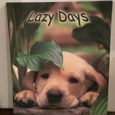 KEITH KIMBERLIN PUPPY LAZY DAYS POSTER 22x34 FREE SHIPPING