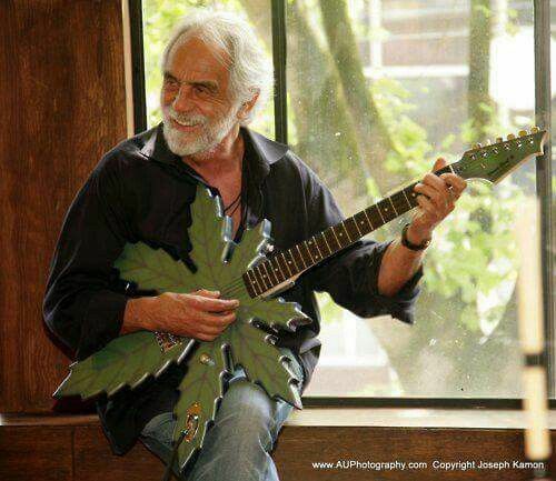 Guitarra Tommy Chong's Sweet Leaf Pot Leaf Leaf escala 1:4 réplica mini guitarra - Imagen 2 de 5