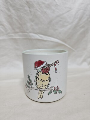 Under The Sun Christmas HUMMINGBIRD PLANT POT 4'' Holly & Berries HOLIDAY A1