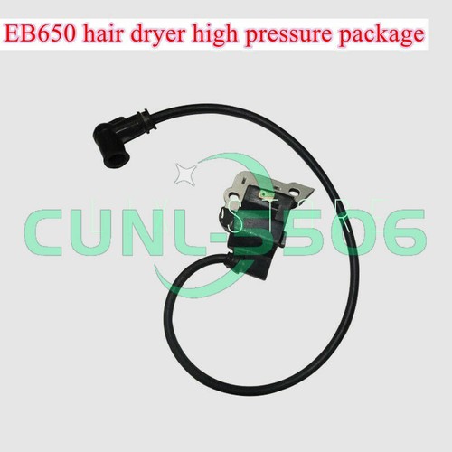 EB650/EB850 Haartrockner Hochdruck Paket Tornister Zünder Staubgebläsespule - Bild 2 von 6