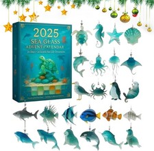 Sea Glass Marine Life Advent Calendar 24 Days Ocean Christmas Countdown Calendar