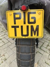P16 TUM, Reads PIG TUM on Vehicle, On Retention