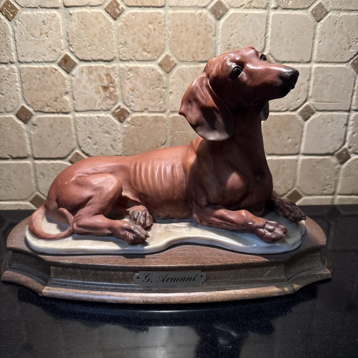 Armani Dog for sale | eBay